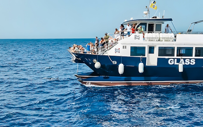 Tourists on a Gran Canaria cruise boat watching dolphins in the ocean.