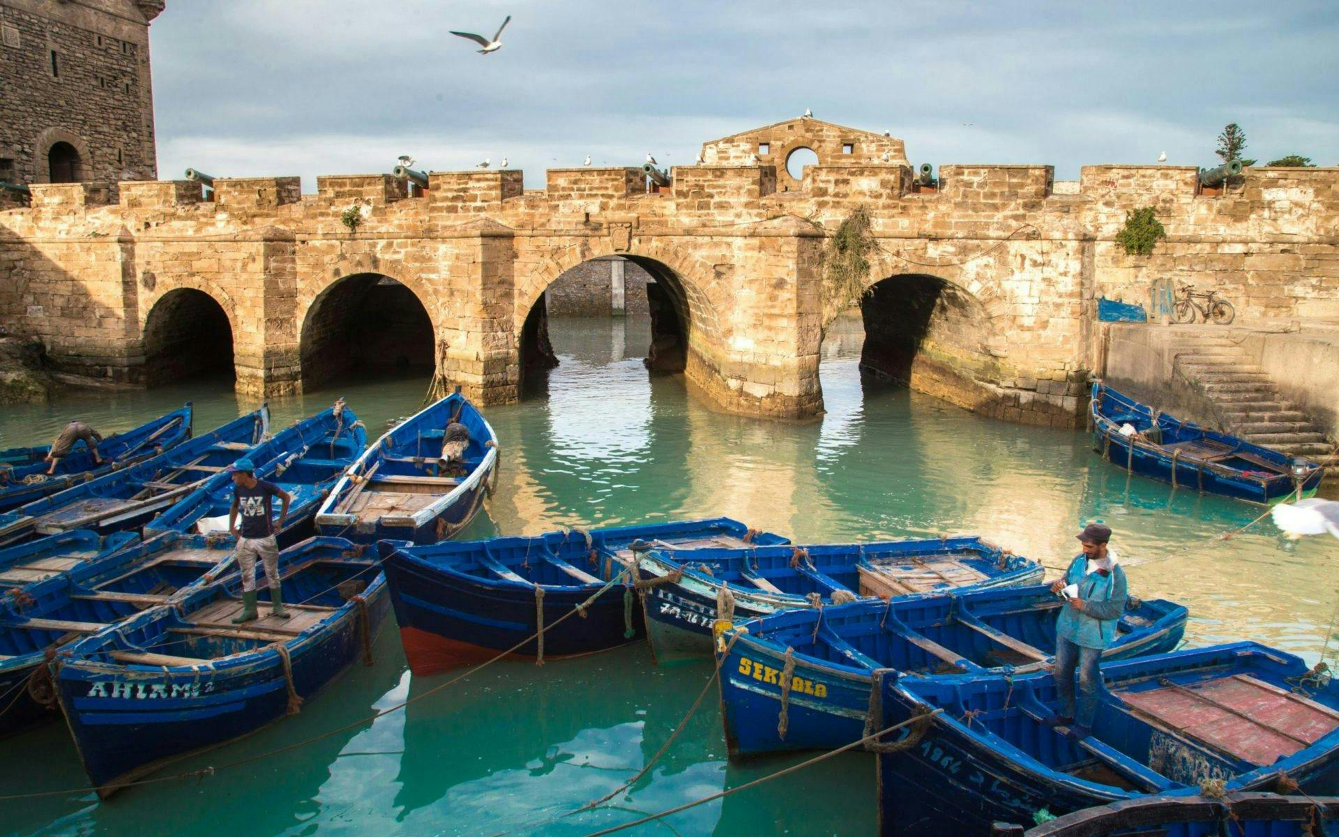à partir d'agadir : excursion guidée d'une journée à essaouira-5