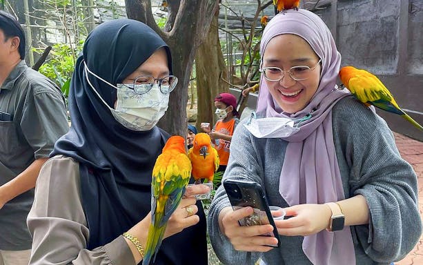 Visitors interacting with colorful parrots at Zoo Melaka, Malaysia.