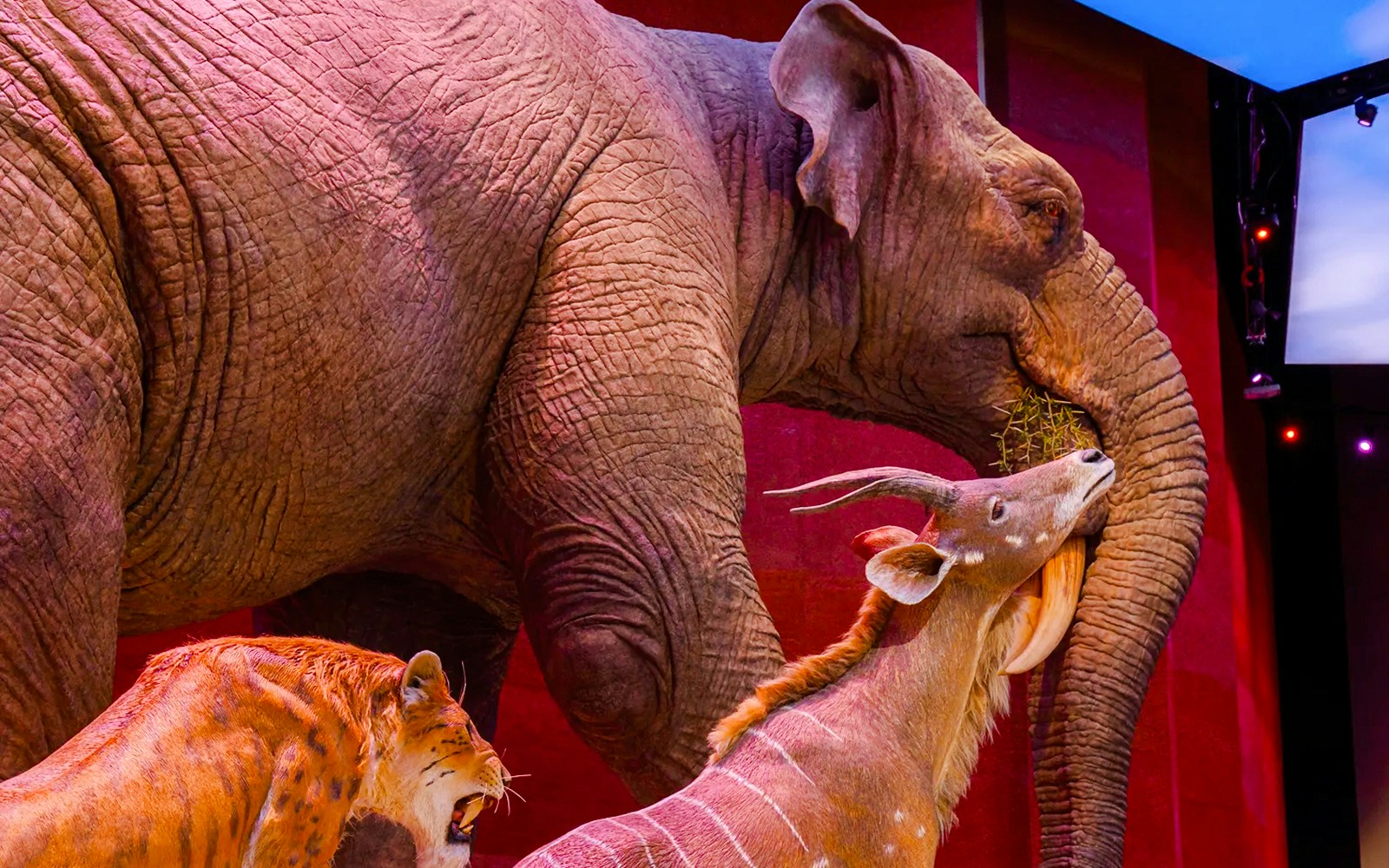 Elephant, antelope, and saber-toothed cat exhibit at National History Museum TheLostHistory.