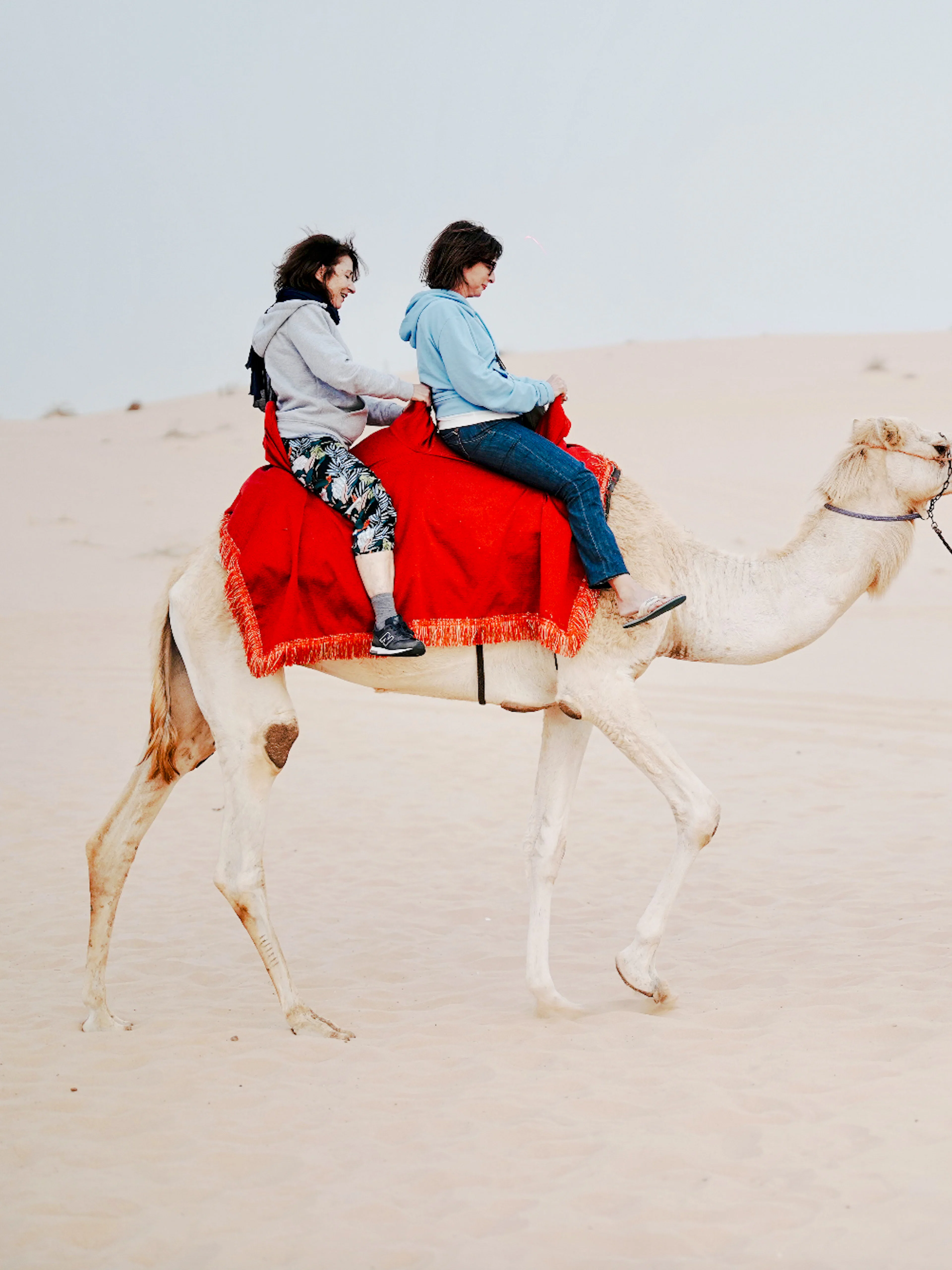 Camel ride during Abu Dhabi evening desert safari.