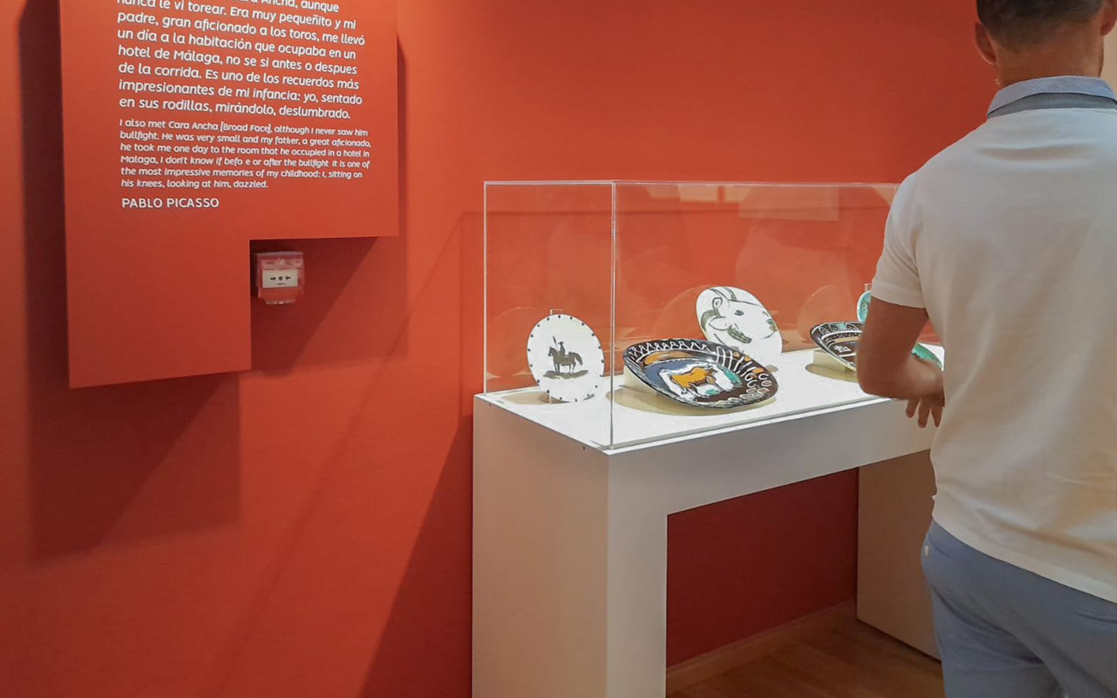 Visitor viewing ceramic art at Picasso's Birthplace Museum in Málaga.