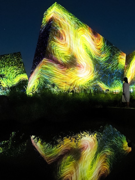 Visitors at teamLab Botanical Garden in Osaka viewing digital art installations.