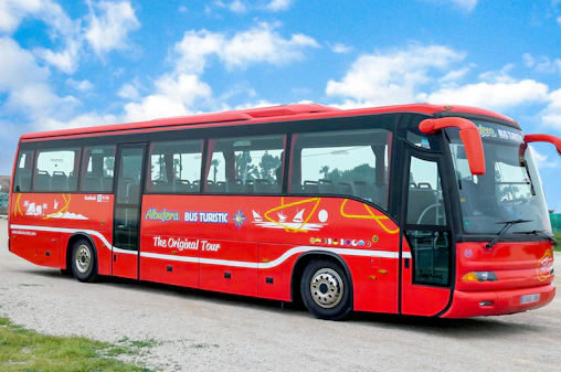 Bus Service at Albufeira Natural Park with a Boat Ride