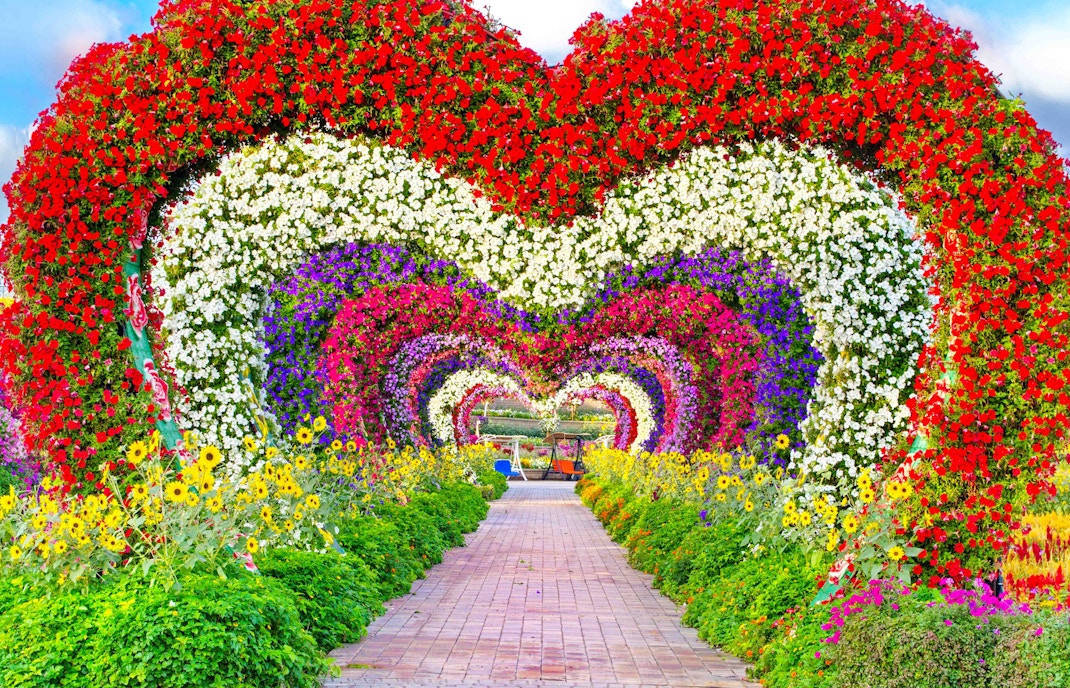 Miracle garden Rules