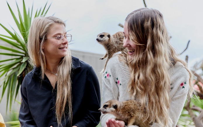 Visitors interacting with meerkats at Ballarat Wildlife Park.