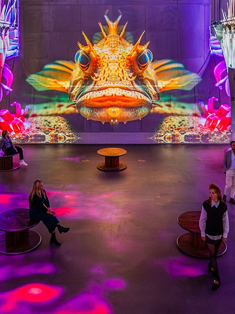 Interactive sea-themed digital art at Fabrique des Lumières exhibition.