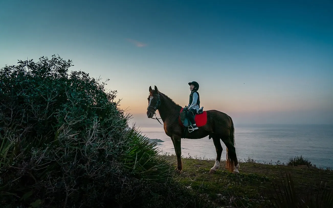Horseback rider on coastal trail at sunset in Mnar, Tangier.
