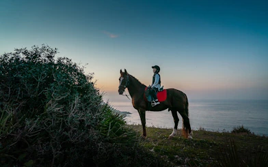 Horseback rider on coastal trail at sunset in Mnar, Tangier.