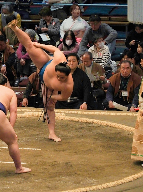 Sumo wrestlers competing in a ring with an audience in Tokyo, Japan.
