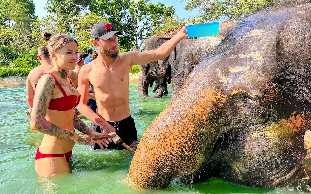 People bathing elephants at Phuket Elephant Care, Thailand.