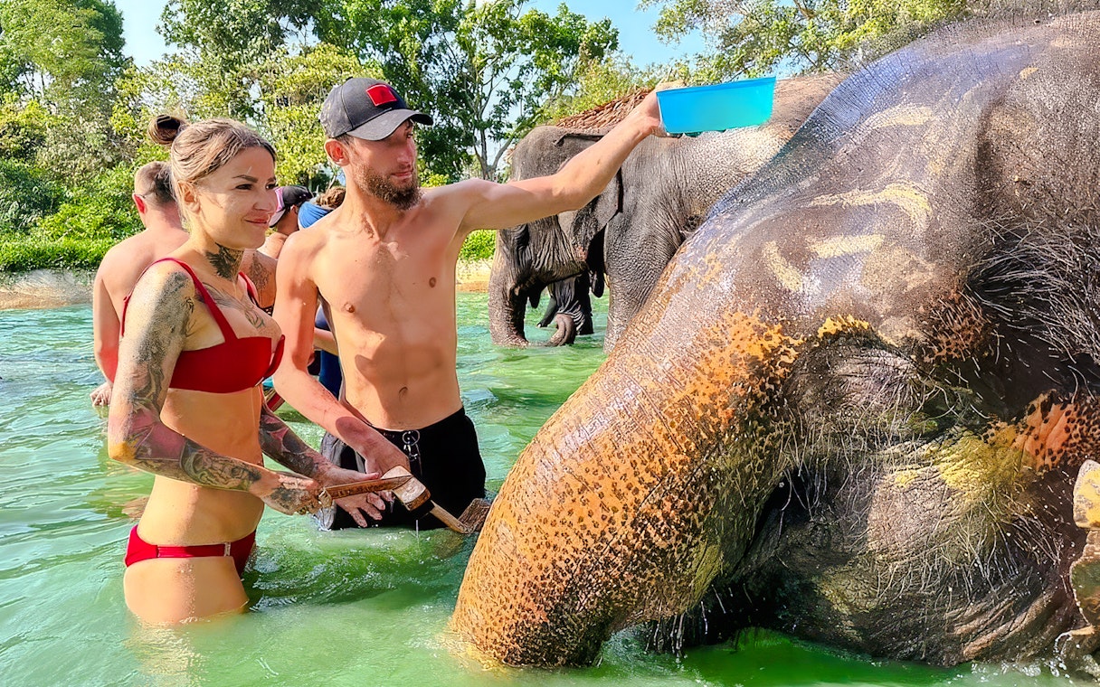 People bathing elephants at Phuket Elephant Care, Thailand.