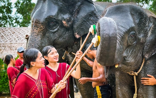 People washing elephants at Kerchor Elephant Family in Phuket.