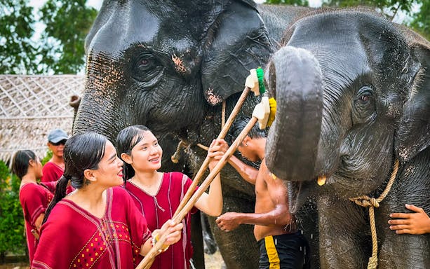 People washing elephants at Kerchor Elephant Family in Phuket.