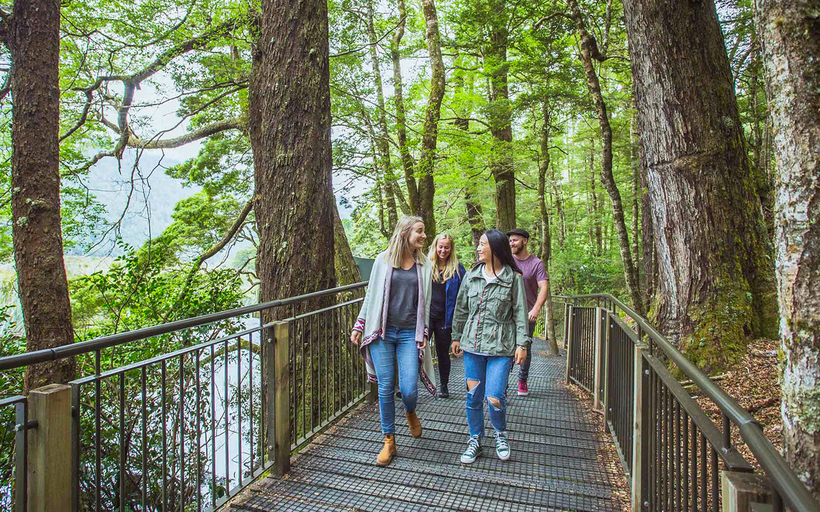 Milford Sound Rules & Regulations