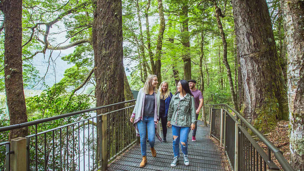 Milford Track Guided Walk to Giant Gate Falls