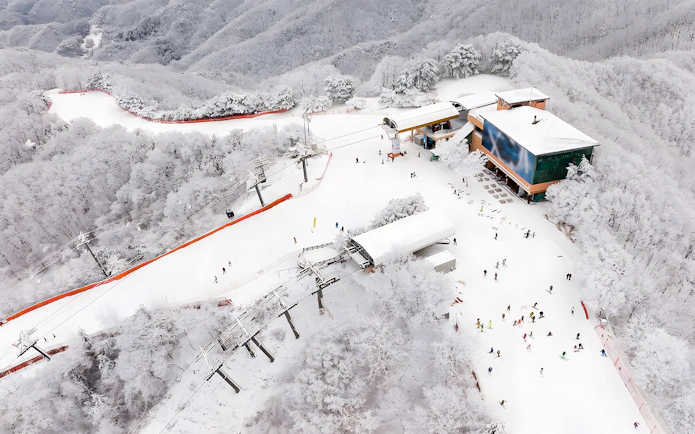 Aerial view of Vivaldi Park Snowy Land with skiers and snow-covered trees.