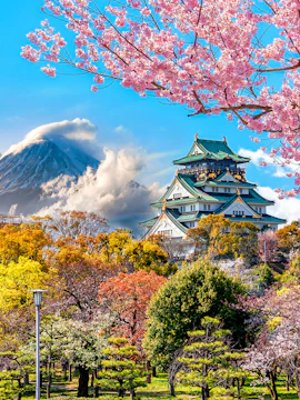 Osaka Castle with cherry blossoms in spring, Osaka Amazing Pass.