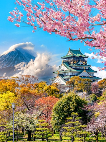 Osaka Castle with cherry blossoms in spring, Osaka Amazing Pass.