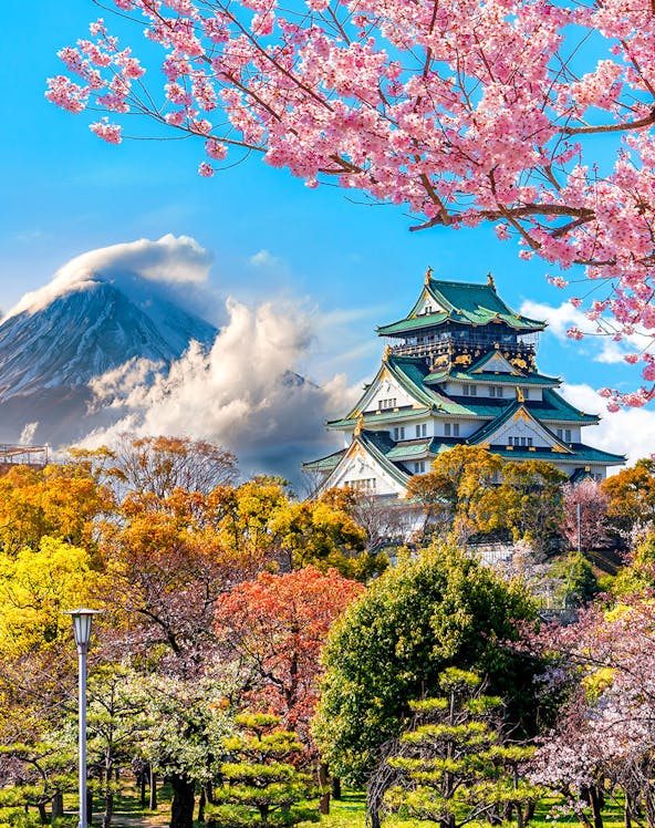 Osaka Castle with cherry blossoms in spring, Osaka Amazing Pass.