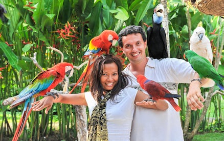 Couple with colorful parrots at Madrid Zoo Aquarium.