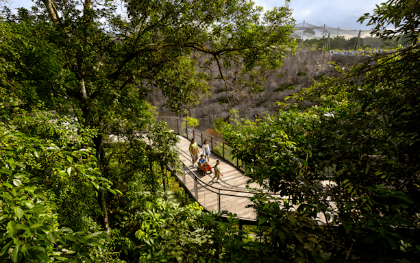 Family walking on an elevated walkway through lush greenery in a nature reserve.