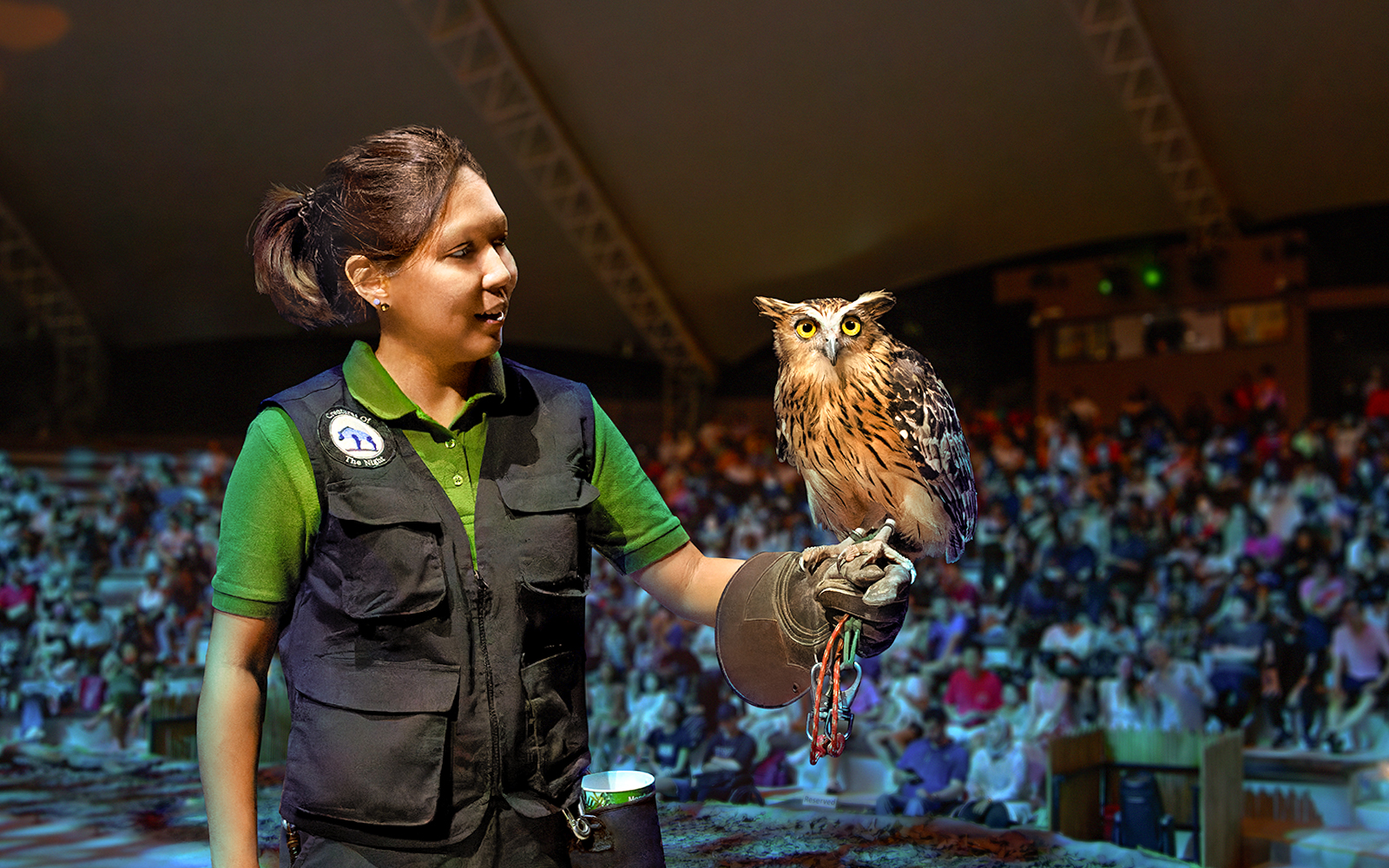 Handler with owl during live show at Night Safari, Singapore.