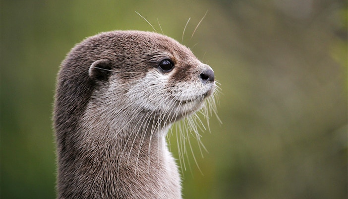 Antarctic Experience Atlantis Aquarium Madrid