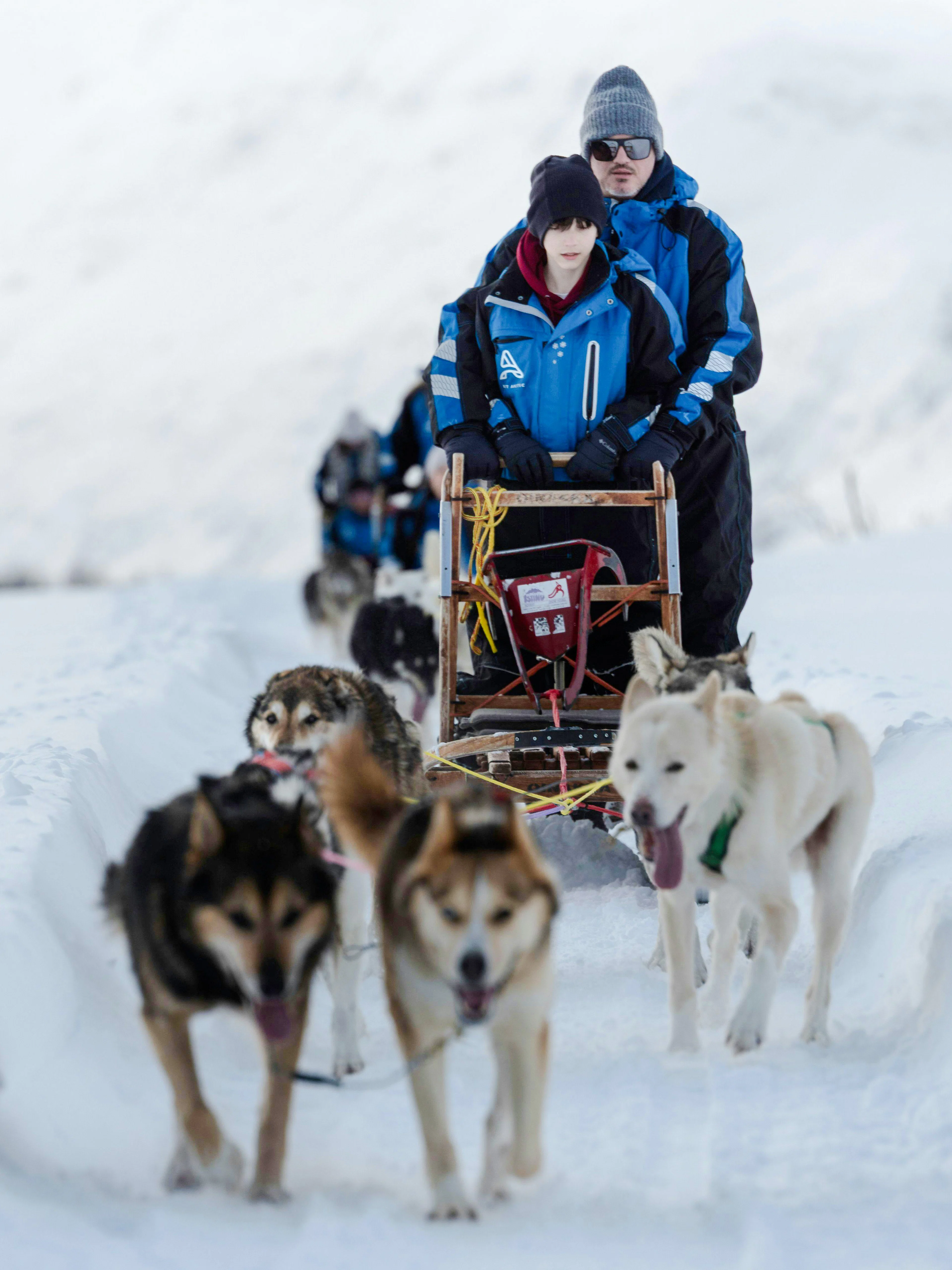 Guests dogsledding through snowy landscape in Tromso.