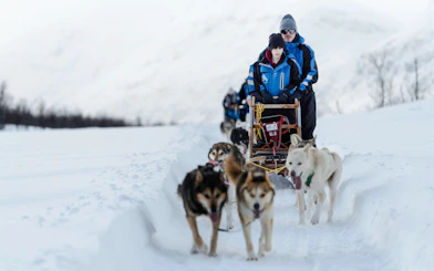 Guests dogsledding through snowy landscape in Tromso.