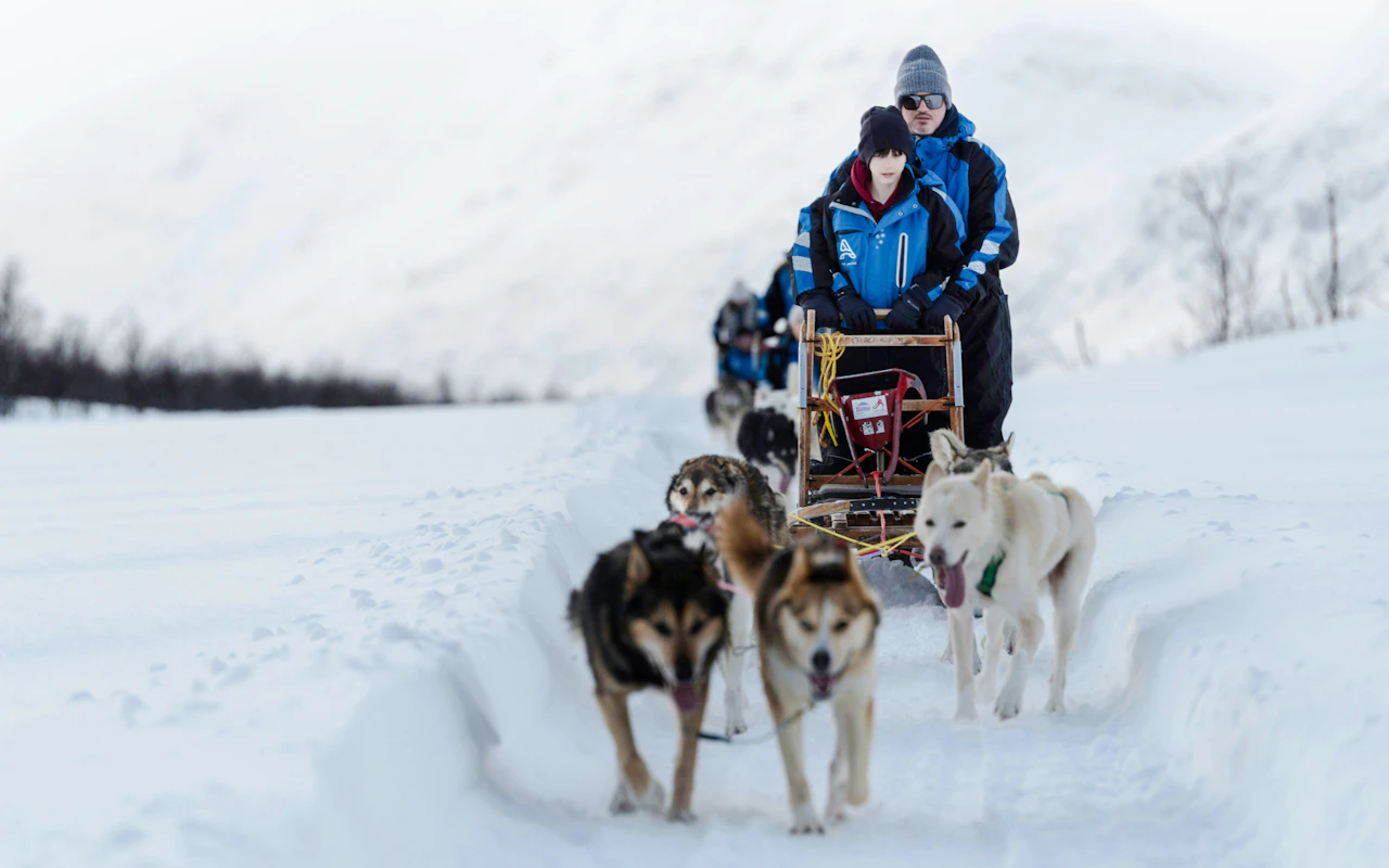 Tromso: Easy Self-Drive Dogsledding & Kennel Visit