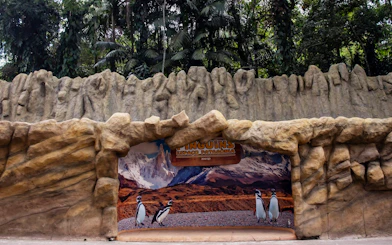 Penguin exhibit entrance at São Paulo Zoo with rock formations and forest backdrop.