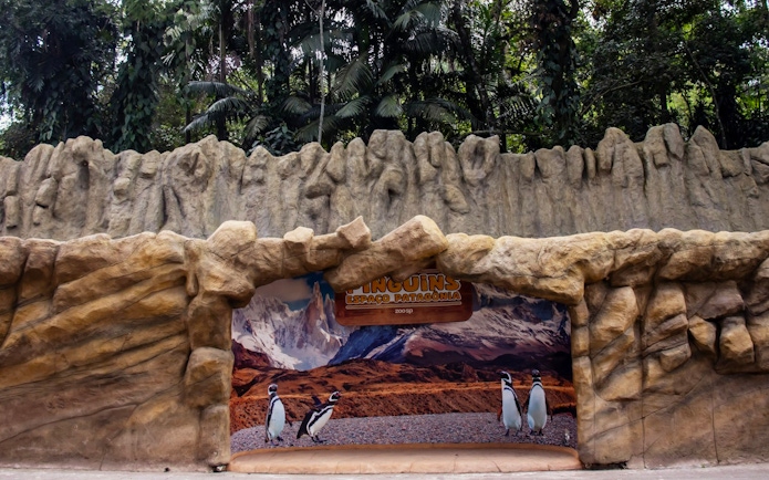Penguin exhibit entrance at São Paulo Zoo with rock formations and forest backdrop.