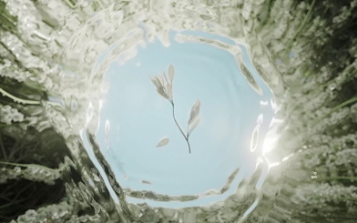 Floating leaves in water, part of Symphony of Nature at Moco Museum.