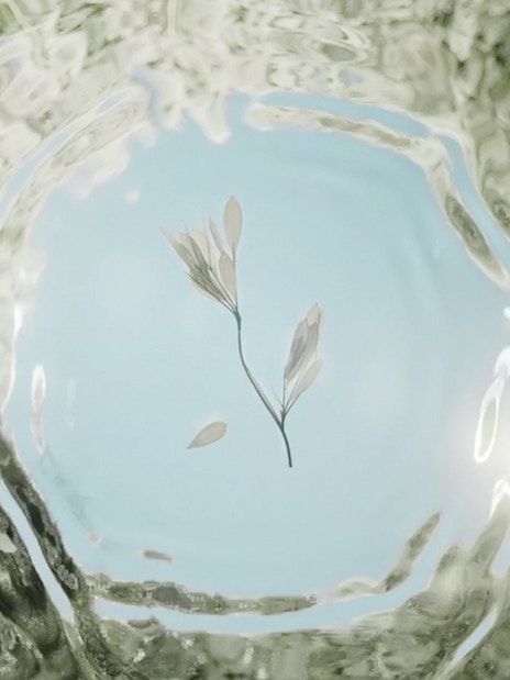 Floating leaves in water, part of Symphony of Nature at Moco Museum.
