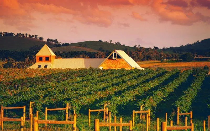 Vineyard in Yarra Valley with rustic winery building under a vibrant sunset sky.