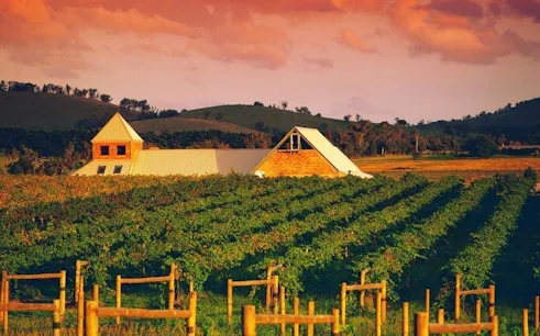 Vineyard in Yarra Valley with rustic winery building under a vibrant sunset sky.