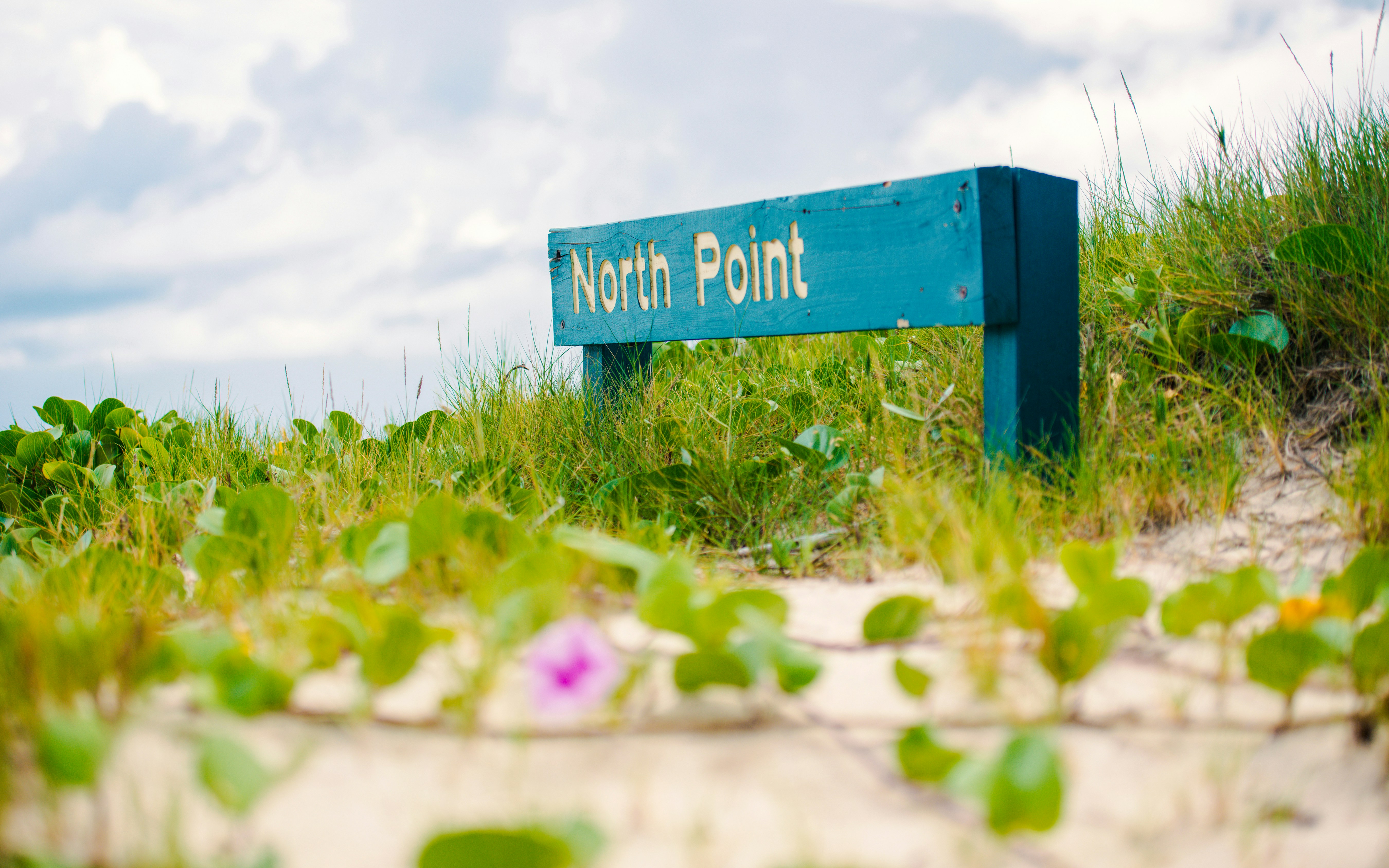 North Point sign surrounded by beach grass on Moreton Island.