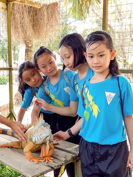 Children interacting with an iguana at PD Ostrich Show Farm.