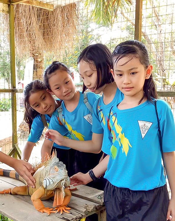 Children interacting with an iguana at PD Ostrich Show Farm.