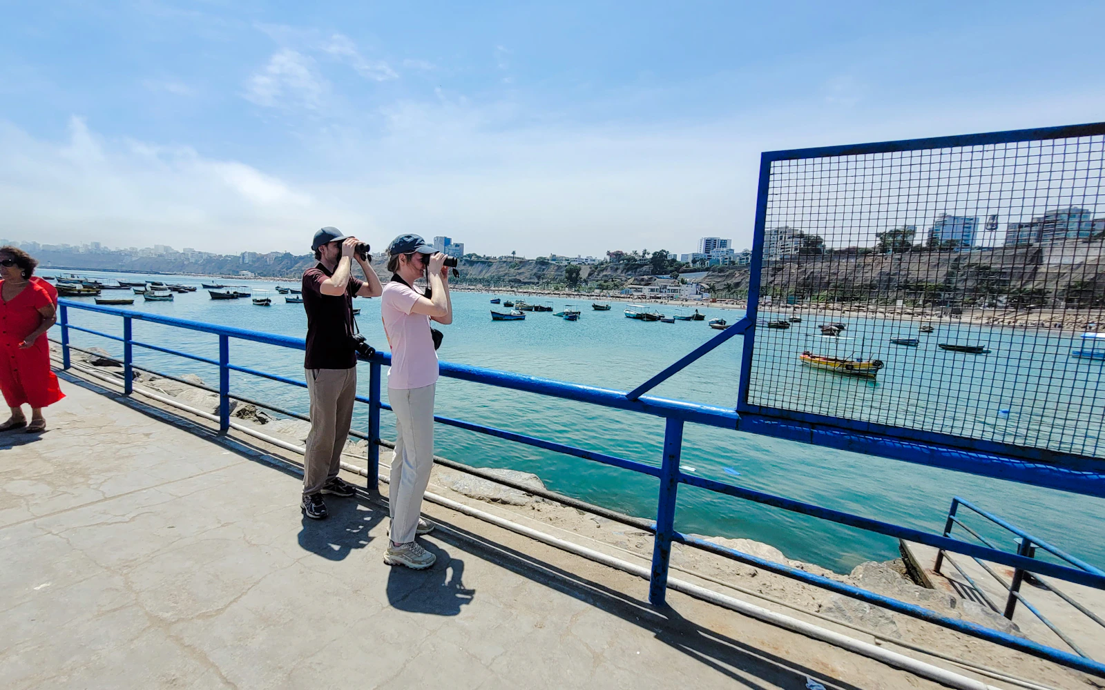 Lima Birdwatching and Urban Parks Guided Tour Image 5