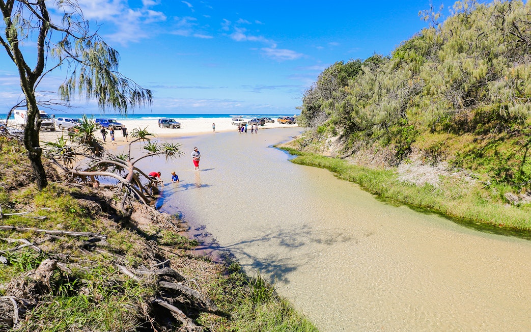 People enjoying Eli Creek on Fraser Island, K'gari, with clear water and surrounding greenery.