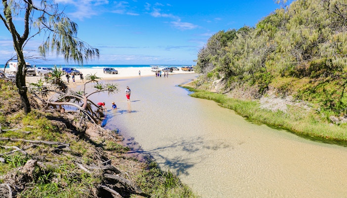 People enjoying Eli Creek on Fraser Island, K'gari, with clear water and surrounding greenery.