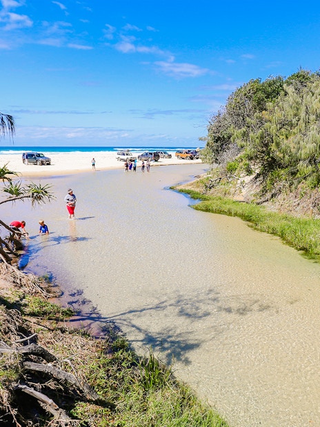 People enjoying Eli Creek on Fraser Island, K'gari, with clear water and surrounding greenery.
