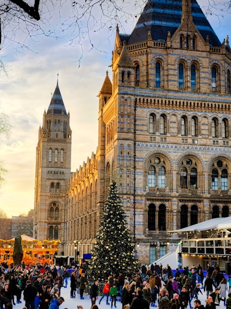 Crowd ice skating by a Christmas tree at the Natural History Museum in London.