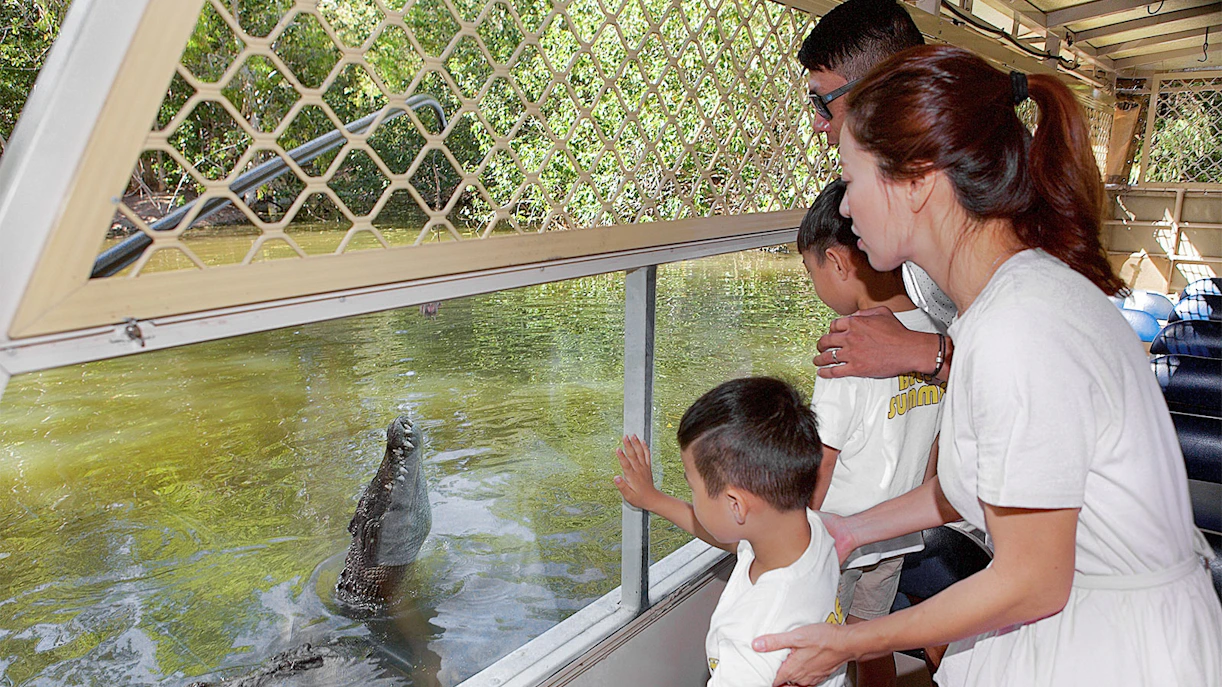 Family observing crocodile from boat at Hartley's Crocodile Adventures.