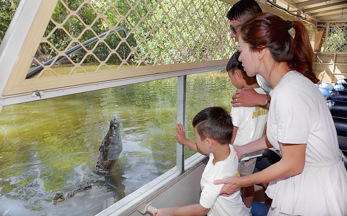 Family observing crocodile from boat at Hartley's Crocodile Adventures.