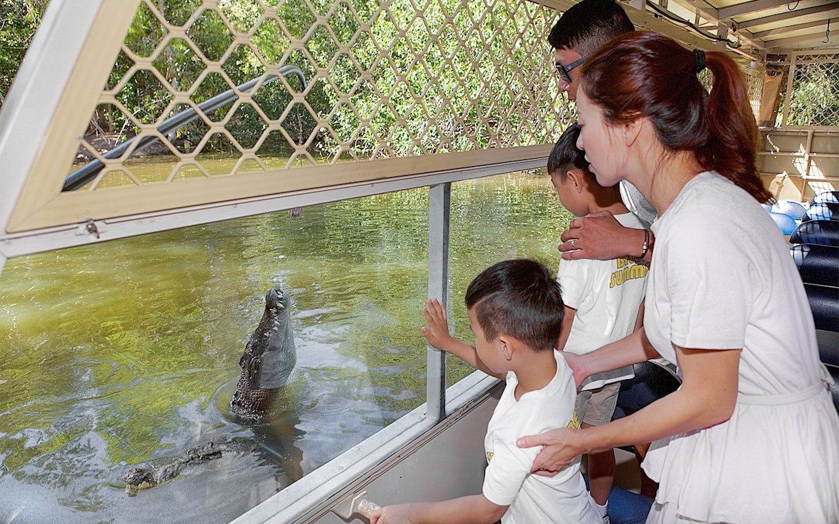 Family observing crocodile from boat at Hartley's Crocodile Adventures.