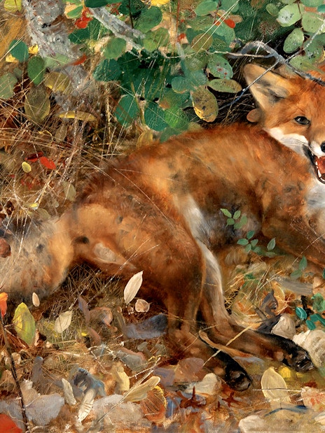 Foxes and birds in a forest scene, Bruno Liljefors exhibition at Petit Palais.