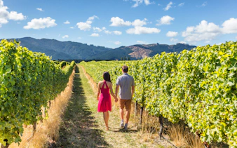 Couple walking through vineyard with mountain backdrop.
